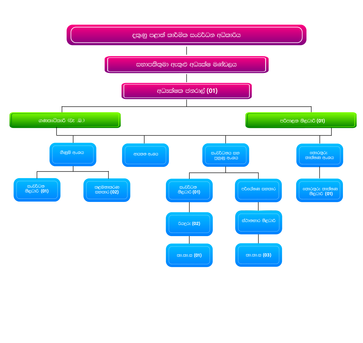 board of directors v1-01