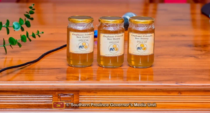 Beyond the Fence: The ‘Elephant-Friendly Honey’ Project That’s Boosting Rural Incomes
