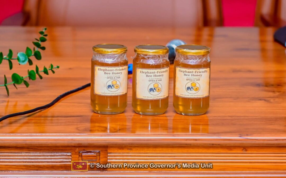 Beyond the Fence: The ‘Elephant-Friendly Honey’ Project That’s Boosting Rural Incomes