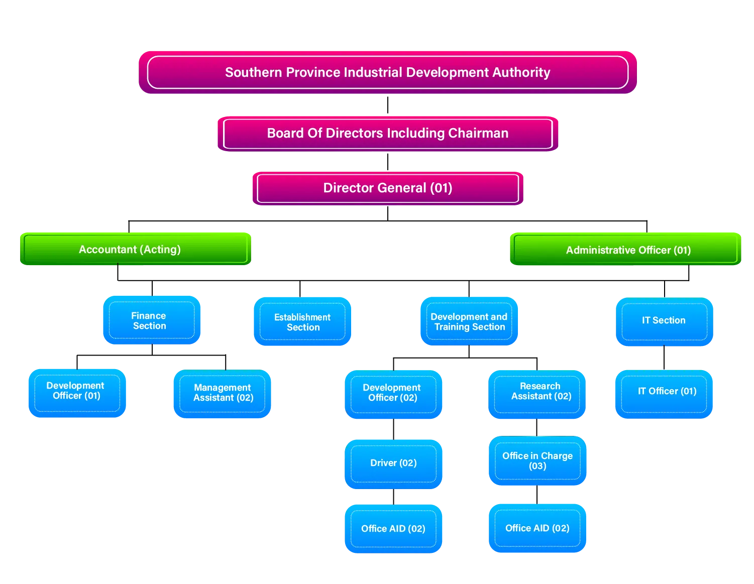 Organization Structure